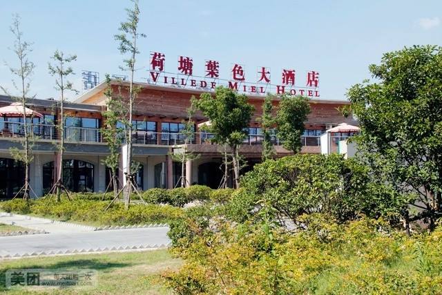 荷塘叶色大酒店.jpg
